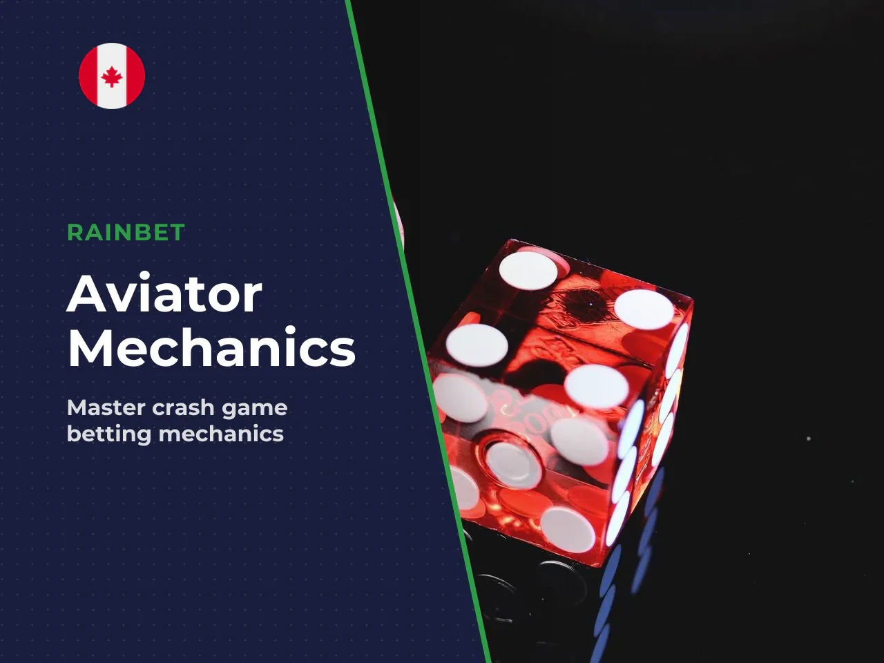 How Aviator works rounds, bets and