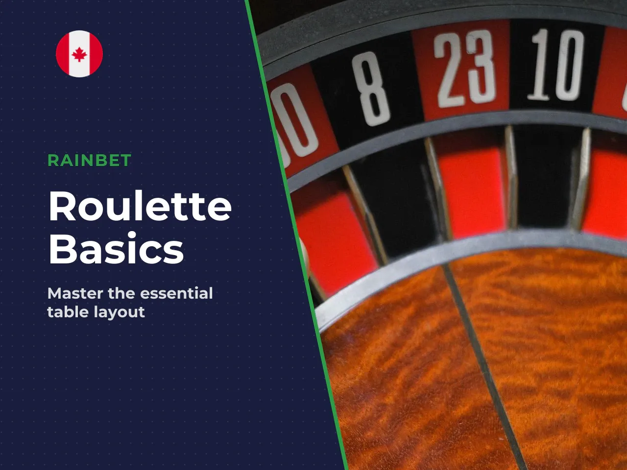 Rainbet roulette wheel and table layout
