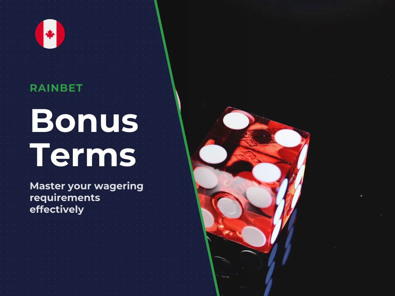 What to Check in Bonus Terms